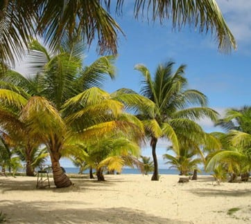 placencia beach