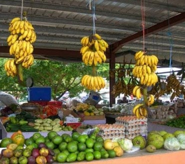 San ignacio farmers market